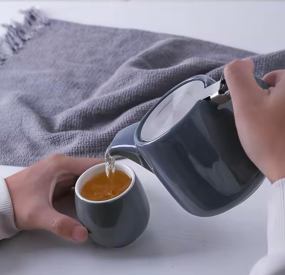 Premium Porcelain Teapot 2-3 Cup