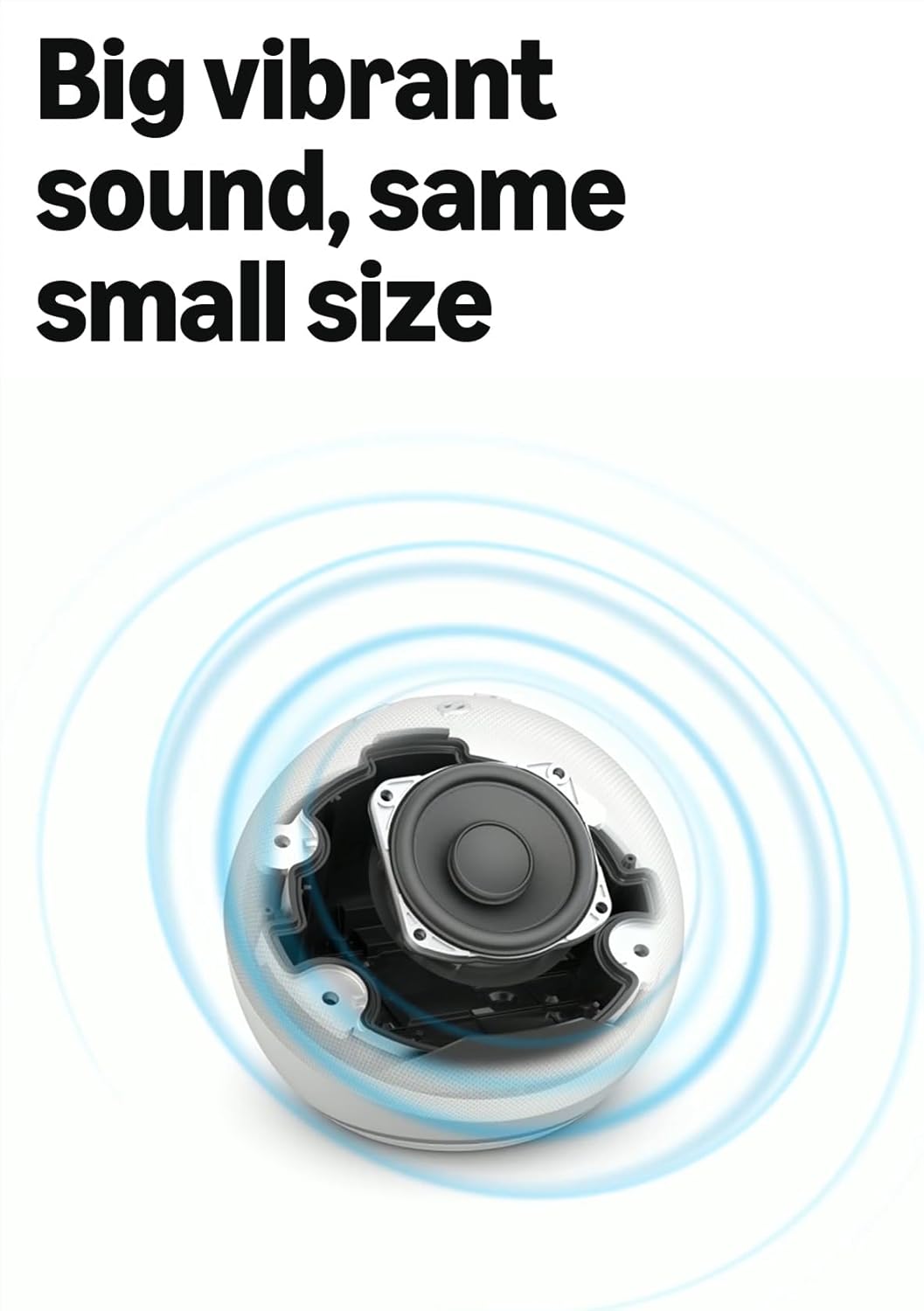 Echo Dot (Newest gen)