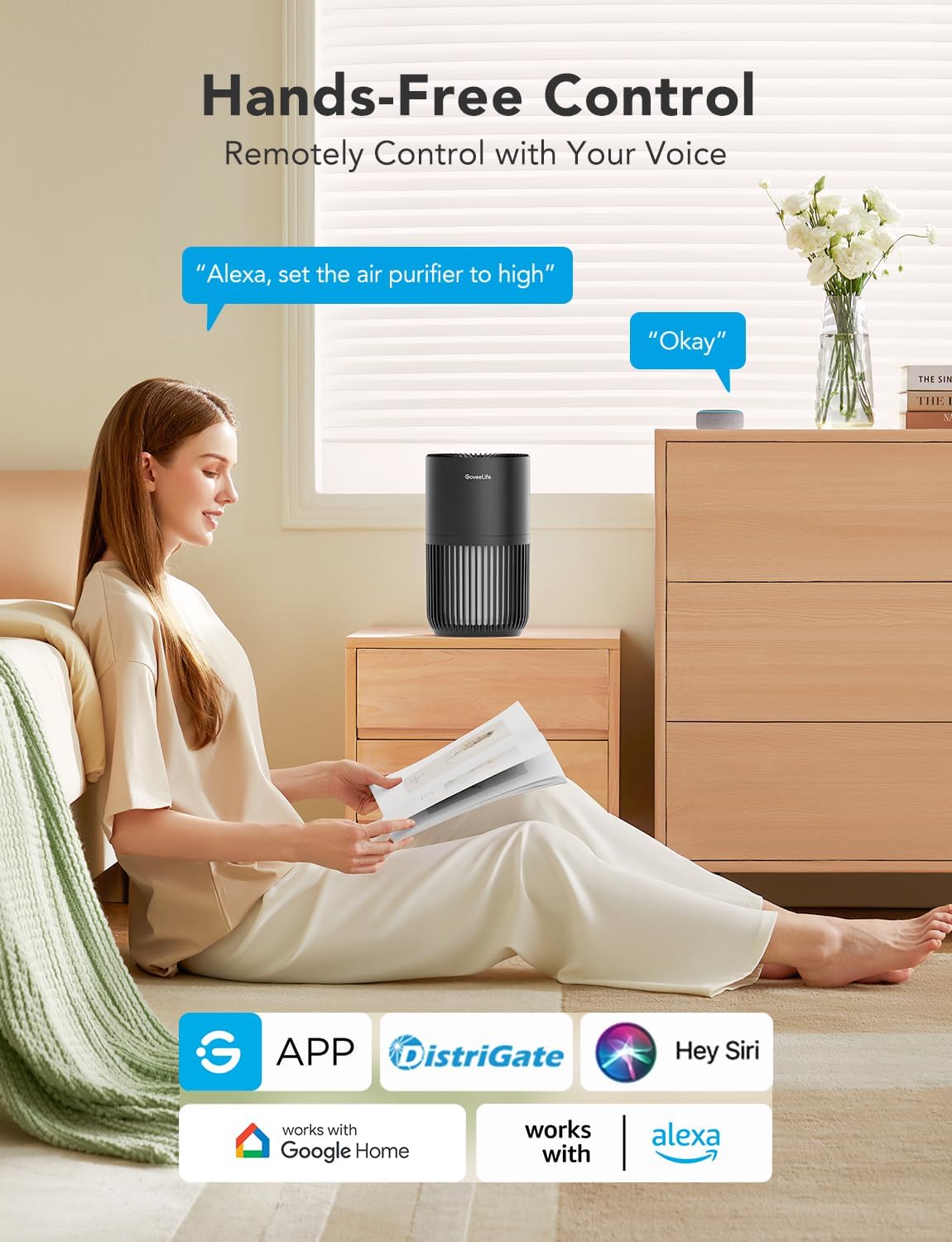 GoveeLife Mini Air Purifier