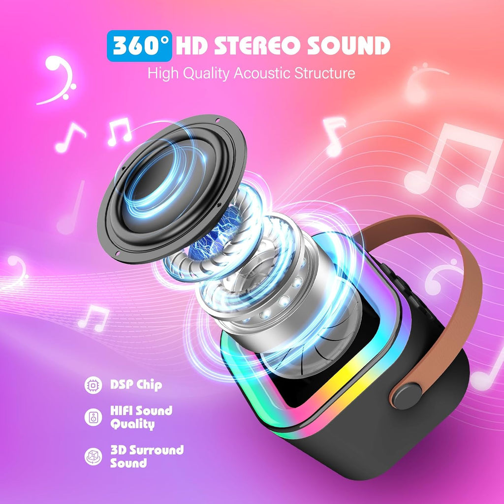 Dislocati Karaoke Machine 2 Microphones