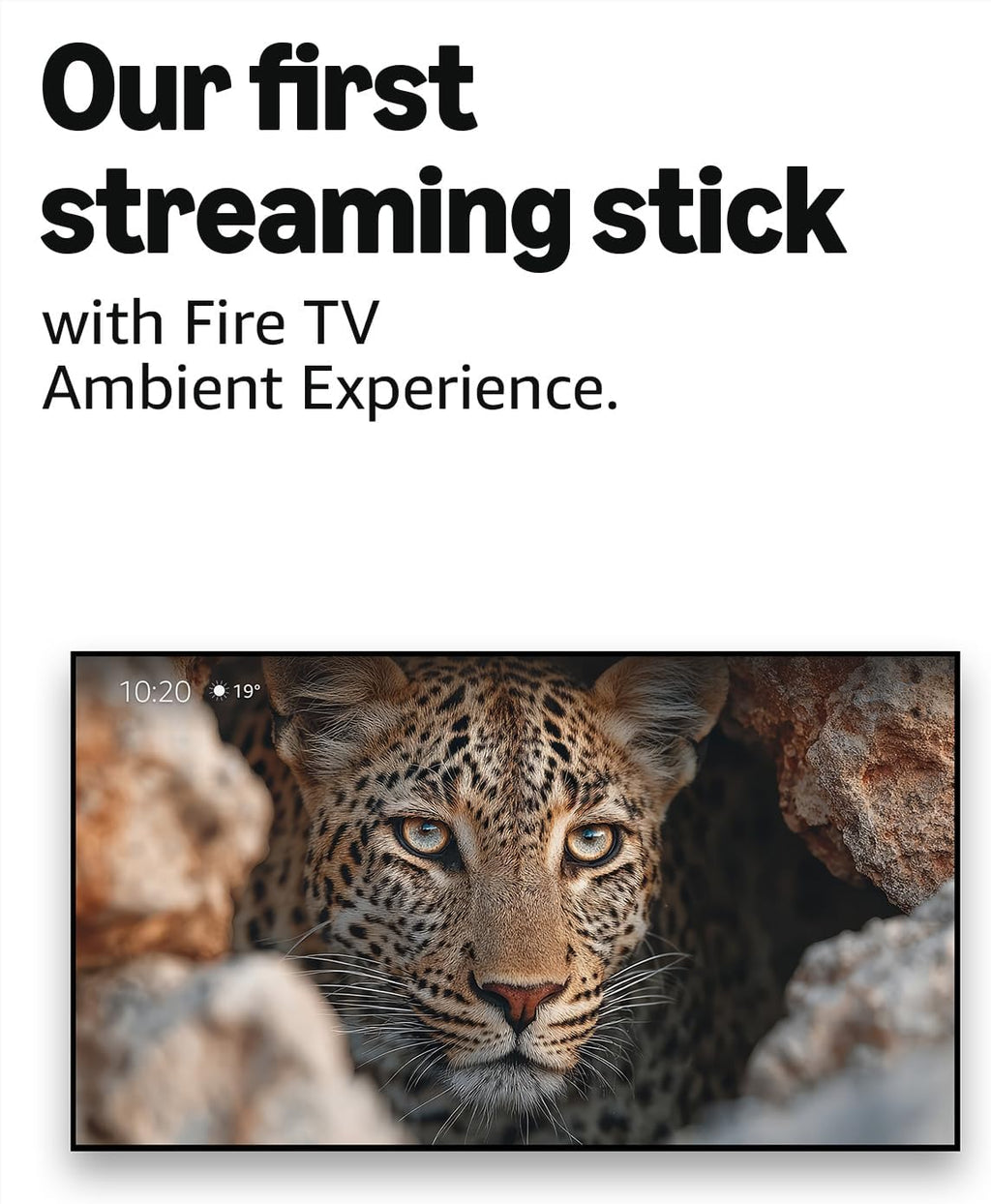 Amazon Fire TV Stick 4K Max (Newest gen)
