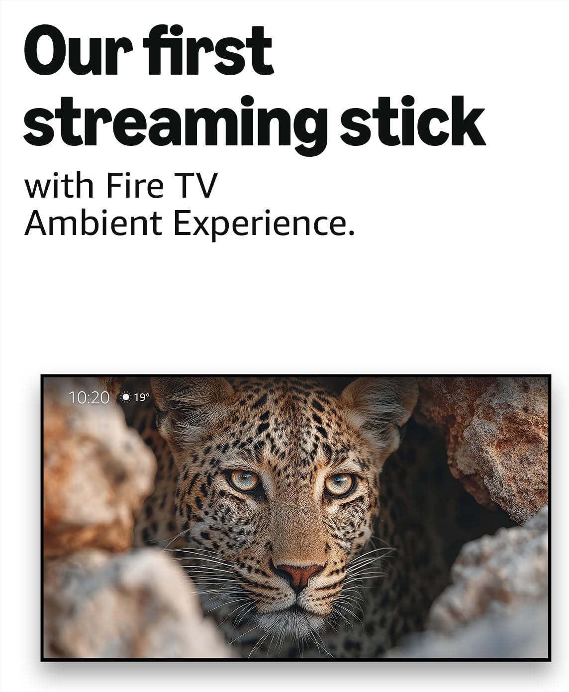 Amazon Fire TV Stick 4K Max (Newest gen)