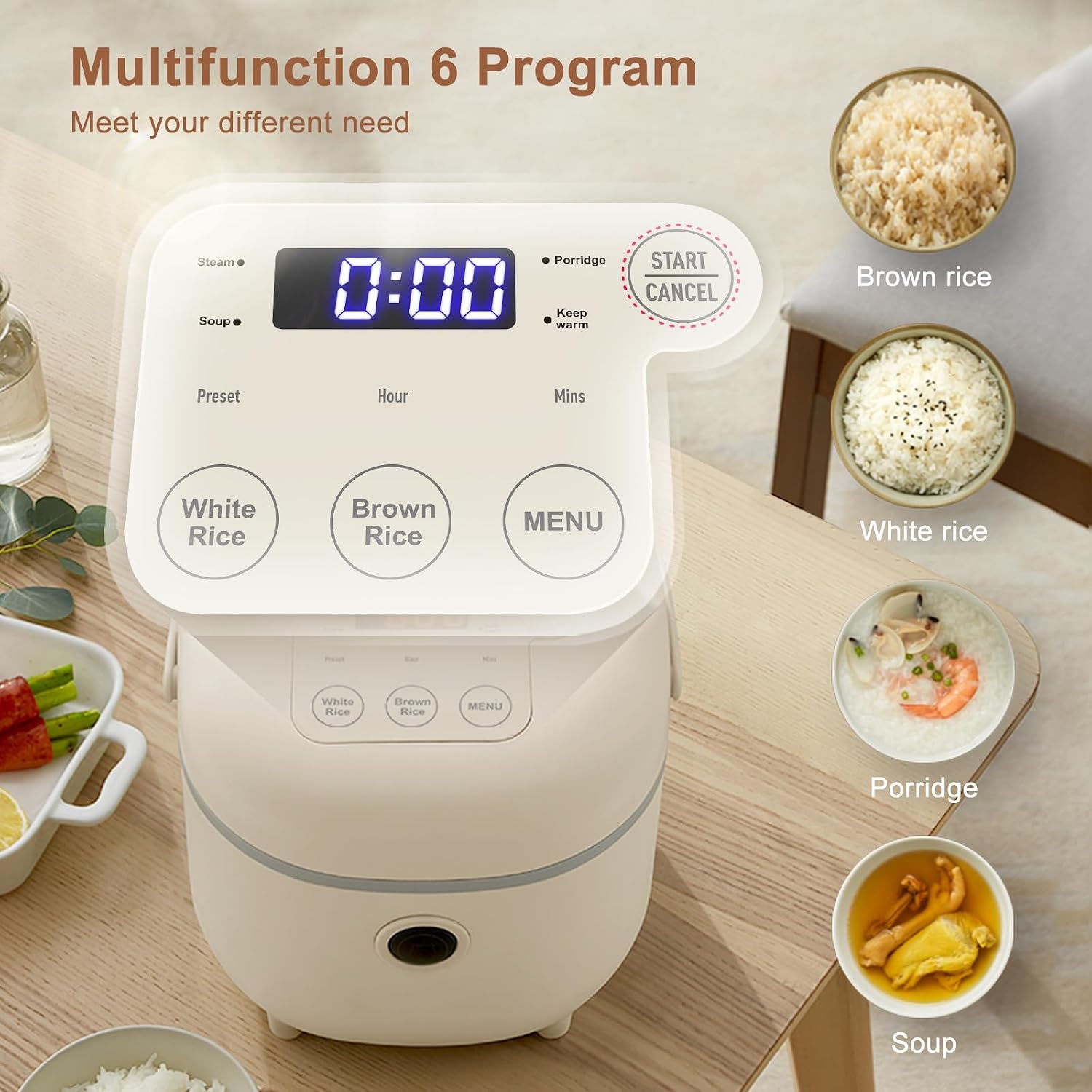 Bear Small Rice Cooker 4 Cup 2L