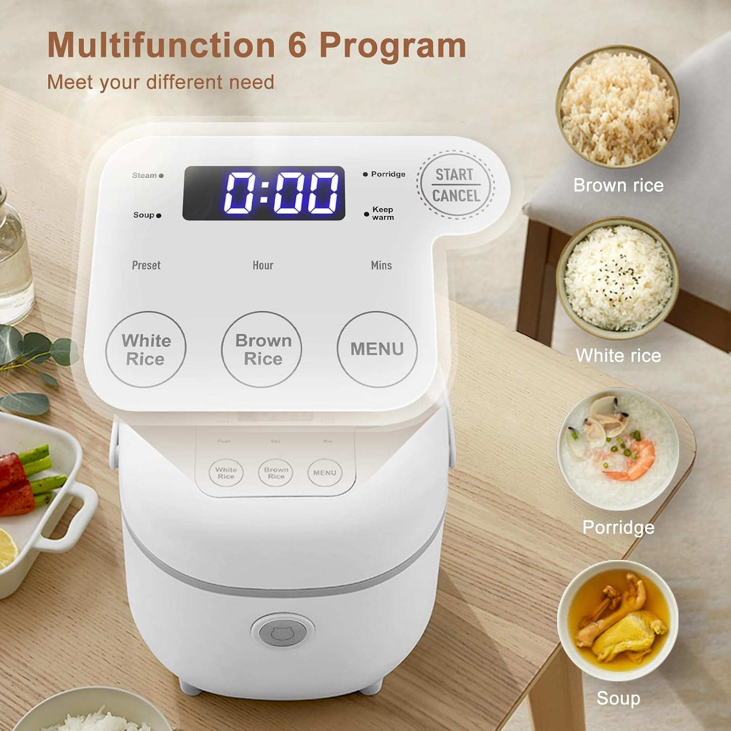 Bear Small Rice Cooker 4 Cup 2L