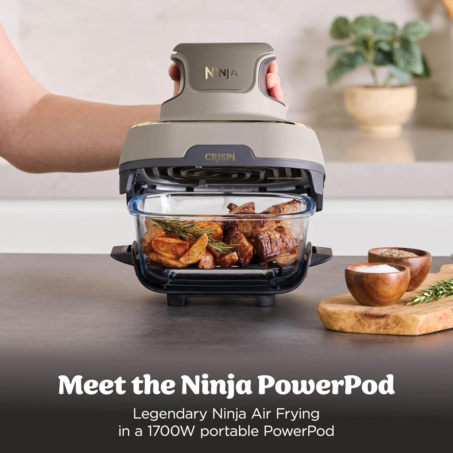 Ninja CRISPi Portable Air Fryer
