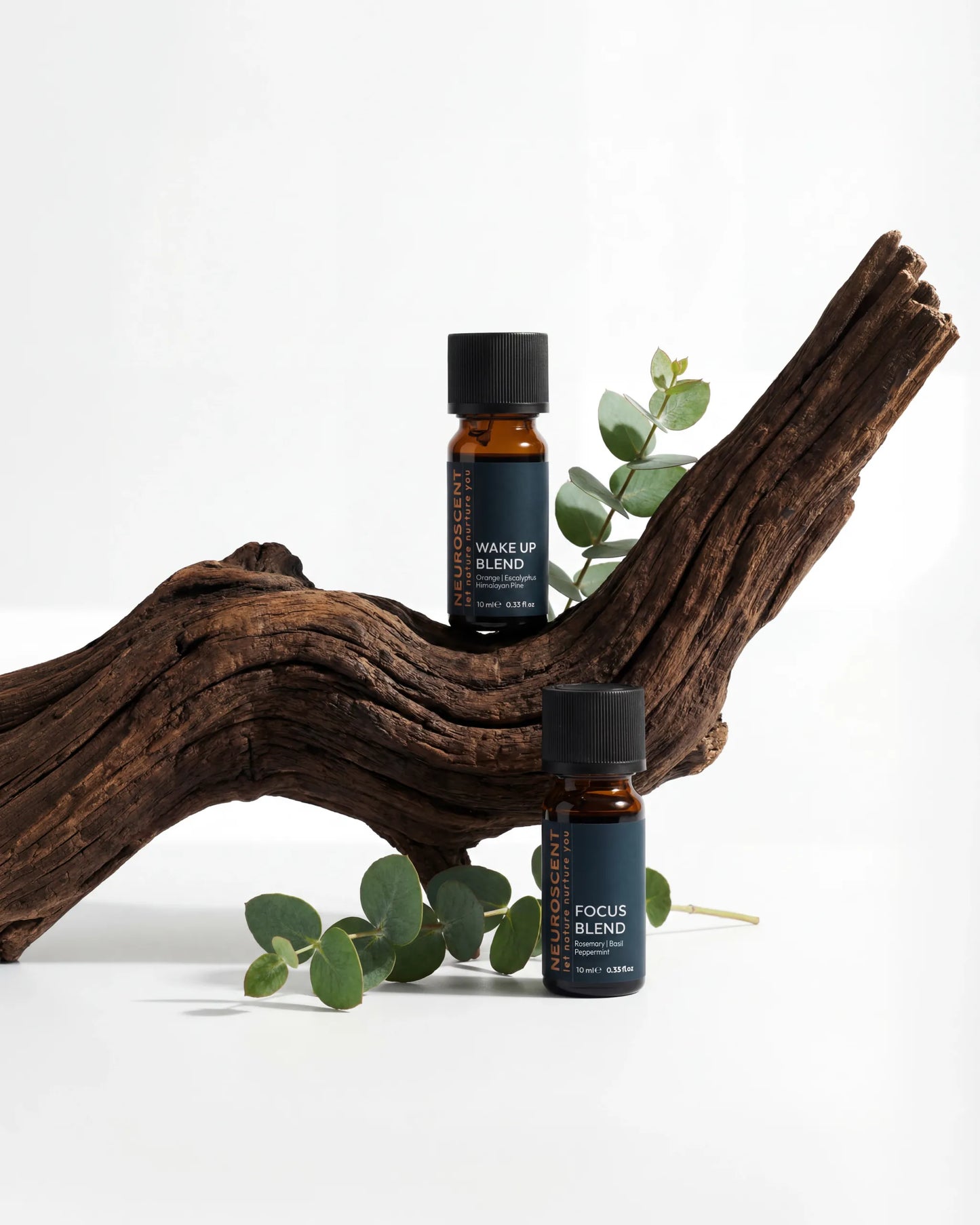 Focus & Flow – NEUROSCENT